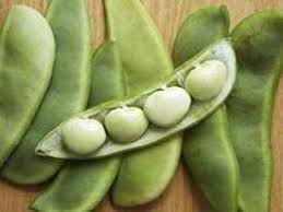 lima beans nutrition facts and health