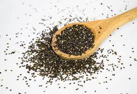chia seeds the nutrition source