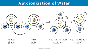 Self Ionization Of Water Definition
