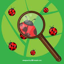 Free Vector Magnifying Glass With