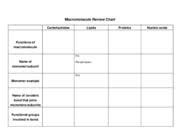 Macromolecule Review Chart Carbohydrates Lipids Proteins