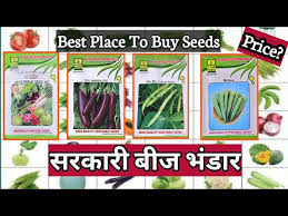 vegetable seeds with 99 9