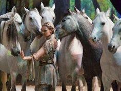 41 Best Cavalia Odysseo Images Show Horses Horses