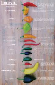 hot peppers recipes four root farm