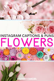 flower puns for your flower captions