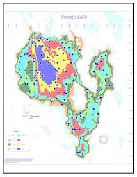 Study Reveals Data On Sebago Lake Trout New England