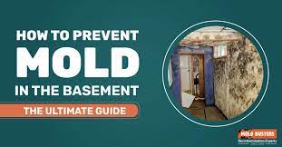 How To Prevent Mold In Basements The