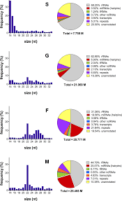 Micrornas From Saliva Of Anopheline Mosquitoes Mimic Human
