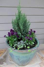 Winter Container Gardens Fall