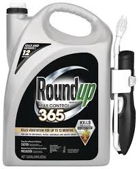 Roundup is the most widely known weed killer brand, and for good reason. Roundup Ready To Spray Weed Grass Killer 1 33 Gal At Menards