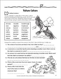 Vulture Culture The Turkey Vulture Fluency Building