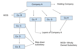 Difference Between Holding And Subsidiary Company