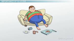 Glucose In Cellular Respiration