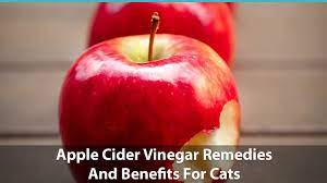 apple cider vinegar remes and