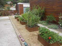 raised bed vegetable gardening