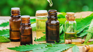 Image result for cbd and cbd oil