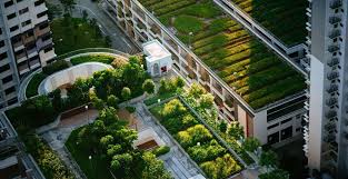 Types Of Green Roofs Extensive Semi