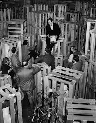 scene analysis from citizen kane research paper example the camera pans across the crates and finds the sled that kane played in the