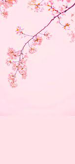 45 Pink Aesthetic Wallpaper Backgrounds ...