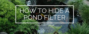 How To Hide A Pond Filter Pond Guides