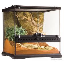 Exo Terra Glass Terrarium Gecko Gurl