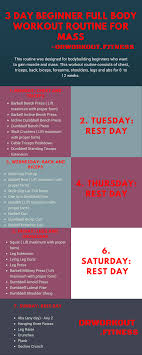 3 Day Beginner Workout Routine For Mass Dr Workout