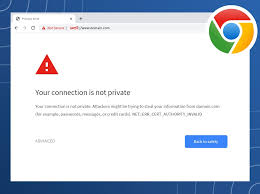 your connection is not private error