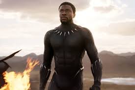 Image result for black panther movie scene