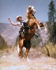 Western Movies from USA Screen Snapshots: My Pal, Ringeye Movie