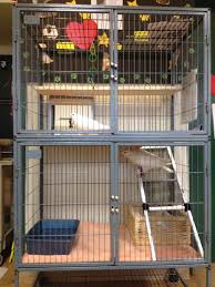 How To Choose A Cage For Pigeons Or Doves
