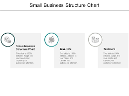Small Business Structure Chart Ppt Powerpoint Presentation