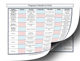 Printable Pregnancy Calendar By Week