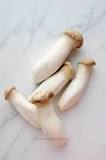 Can you eat the stems of king oyster mushrooms?