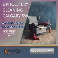 oxy genie carpet cleaning services