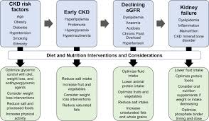 nutrition in kidney disease core