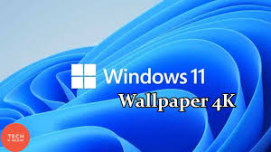 Tons of awesome windows 11 wallpapers to download for free. Windows 11 Wallpaper 4k Resolution Official Download Now Youtube