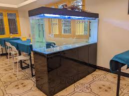 custom aquarium cabinet splashy fin