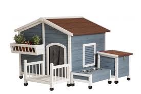 Cool Dog House Without Going Broke