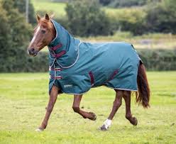 st original 200 turnout rug and