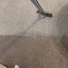 carpet cleaning near indian river mi