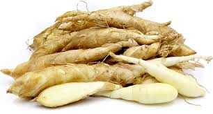 arrowroot information and facts