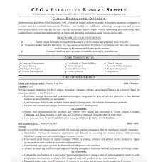 Sample resume examples templates ceo cv template doc example. 21 Executive Resume Templates To Help You Land The Job