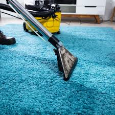 area rug cleaning services anderson
