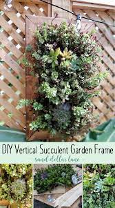 how to build a vertical succulent garden