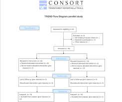 Consort Flow Chart Of The Patient Allocation Download