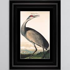 Blue Heron Framed Wall Art Shh Interiors