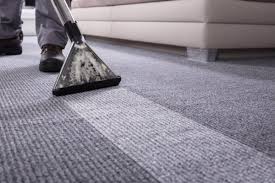 How Professional Carpet Cleaning Works | Ecosan Solutions