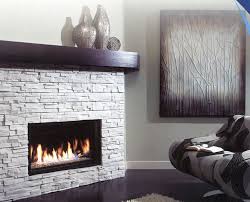 Gas Fireplace Gas Fireplace Insert