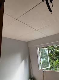 drywall parion false ceiling