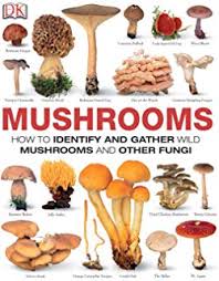 Mushrooms And Other Fungi Of North America Roger Phillips